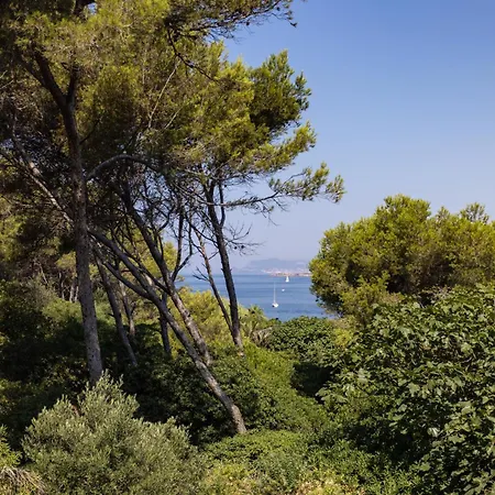Couette-café Hippocampe Sanary-sur-Mer