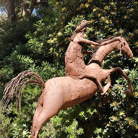 Hippocampe *