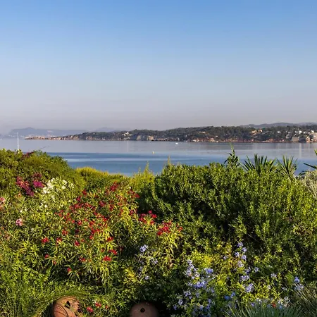 Hippocampe Couette-café Sanary-sur-Mer