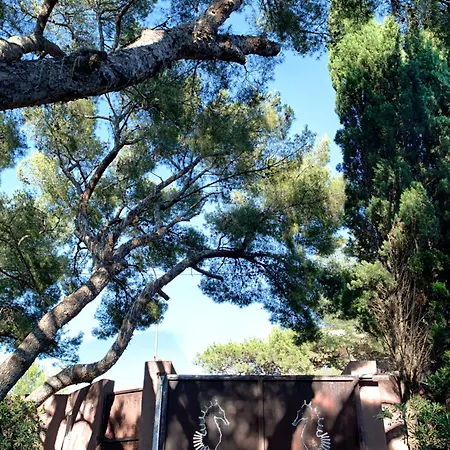Hippocampe Sanary-sur-Mer